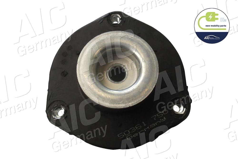 Pakabos statramsčio guolis — AIC 50361