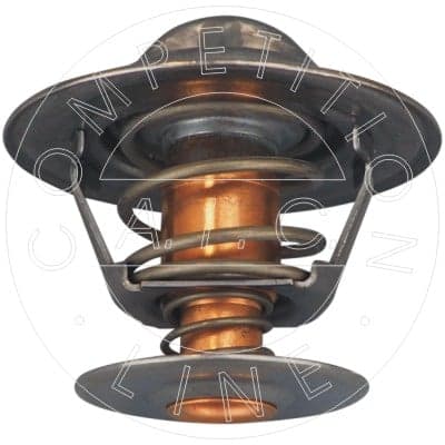 AIC 58322 Termostatas