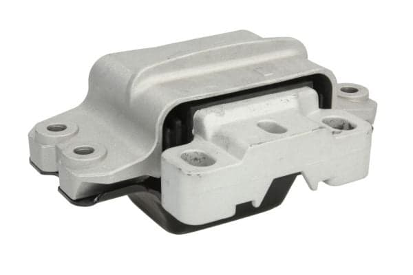 REINHOCH RH11-0051 Automatinės pavarų dėžės tvirtinimas