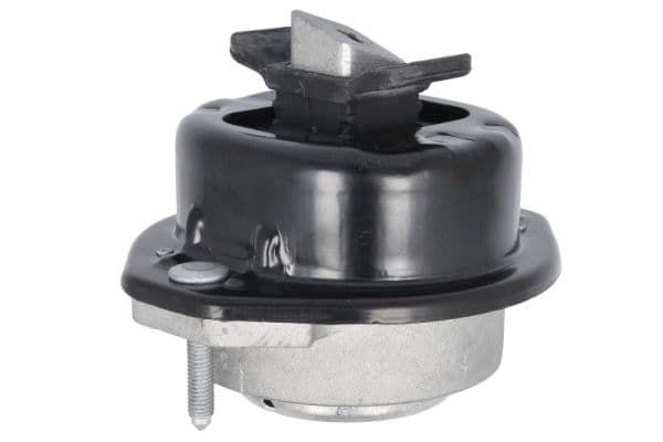 REINHOCH RH11-3109 Variklio pagalvė