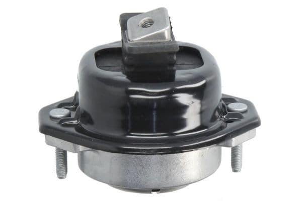 REINHOCH RH11-3158 Variklio pagalvė