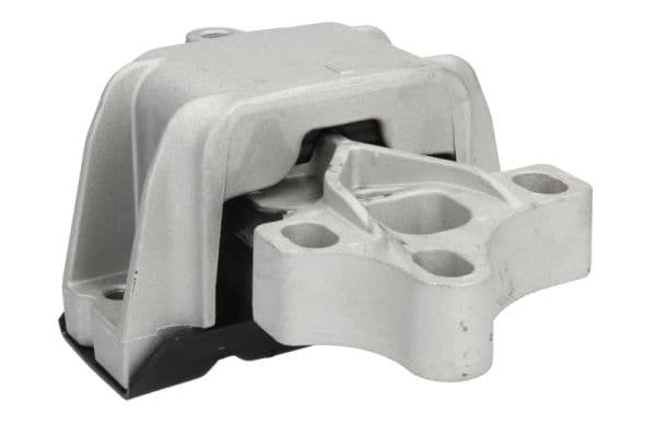 REINHOCH RH12-0021 Automatinės pavarų dėžės tvirtinimas