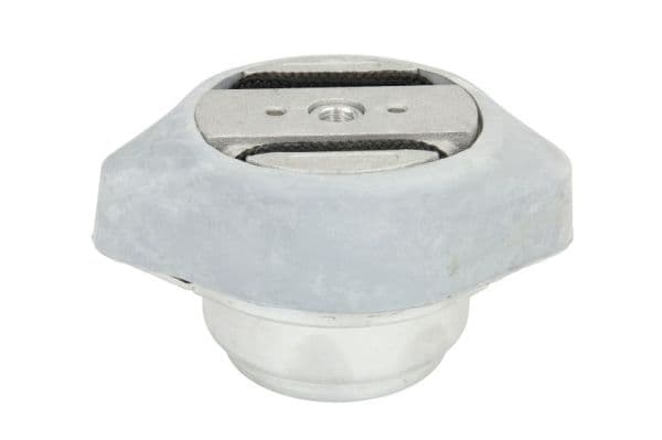 REINHOCH RH12-0025 Automatinės pavarų dėžės tvirtinimas