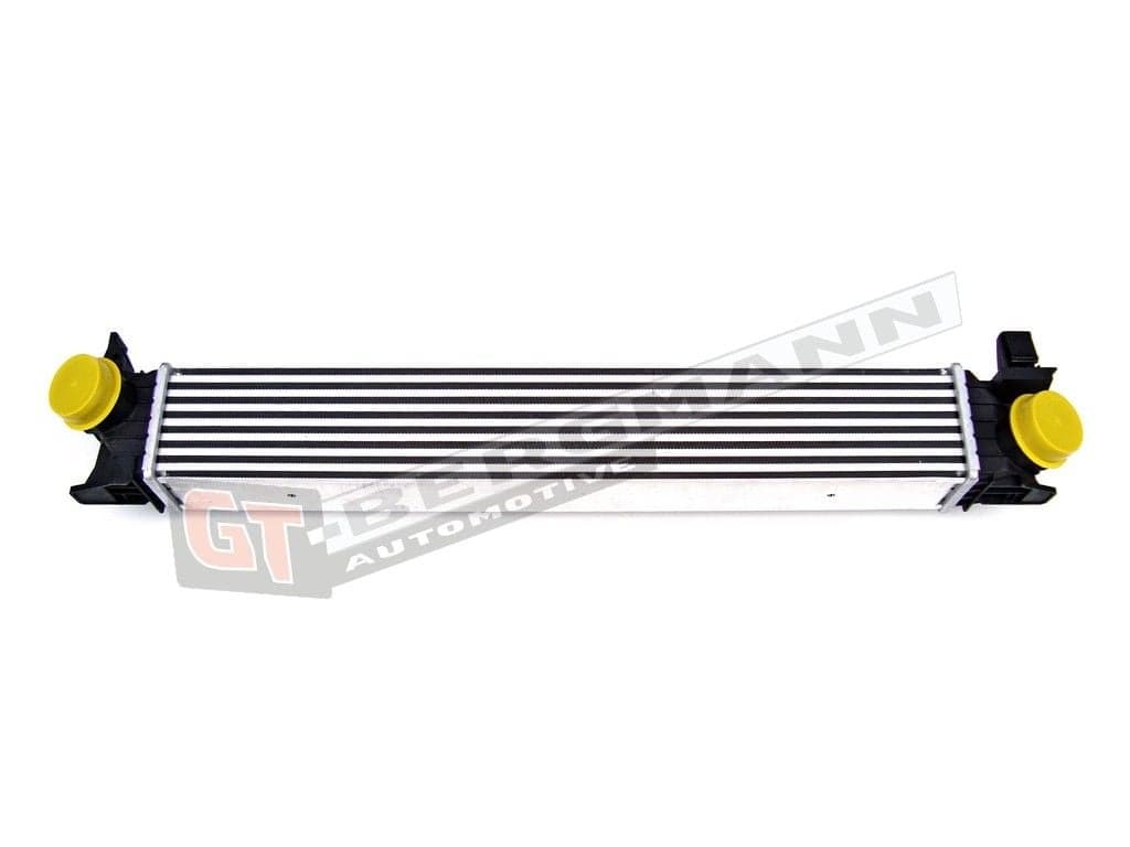 GT-BERGMANN GT12-009 Tarpinis oro aušintuvas