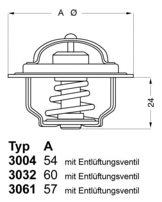 BorgWarner (Wahler) 3004.82 Termostatas