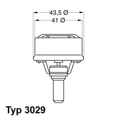 BorgWarner (Wahler) 3029.89 Termostatas