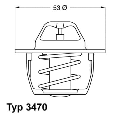 BorgWarner (Wahler) 3470.89D50 Termostatas