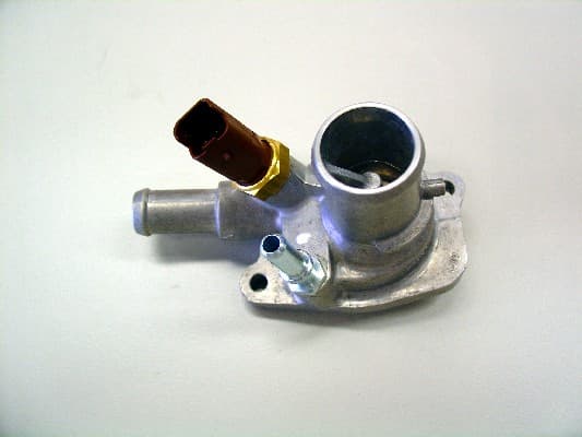 BorgWarner (Wahler) 410090.88D Termostatas