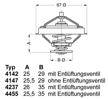 BorgWarner (Wahler) 4147.80D Termostatas