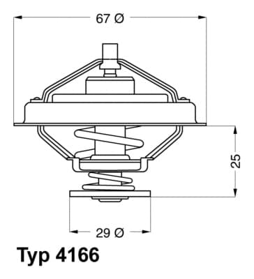 BorgWarner (Wahler) 4166.79D Termostatas