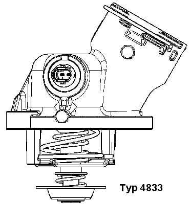 BorgWarner (Wahler) 4833.100D Termostatas