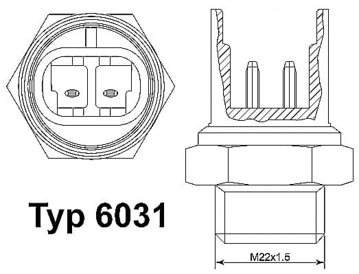 Radiatoriaus ventiliatoriaus temperatūros jutiklis — BorgWarner (Wahler) 6031.92D