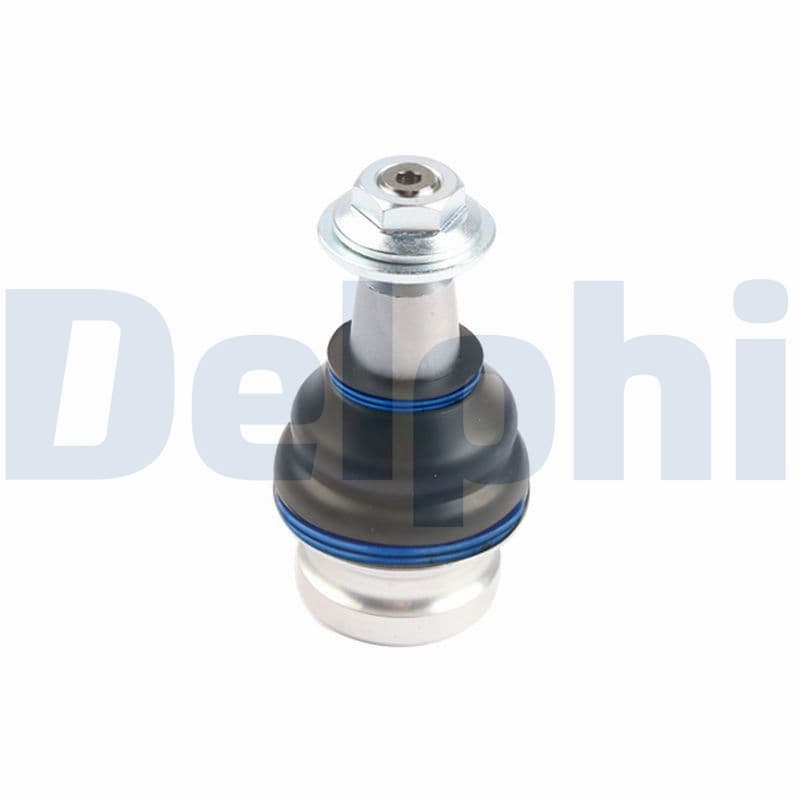 DELPHI TC4752 Šarnyras