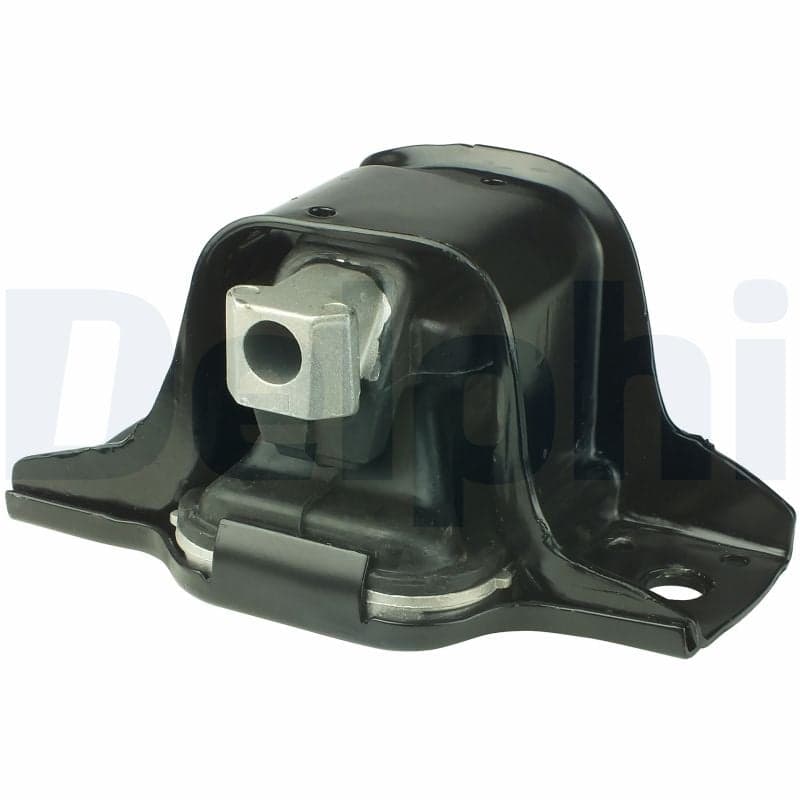 DELPHI TEM032 Variklio pagalvė