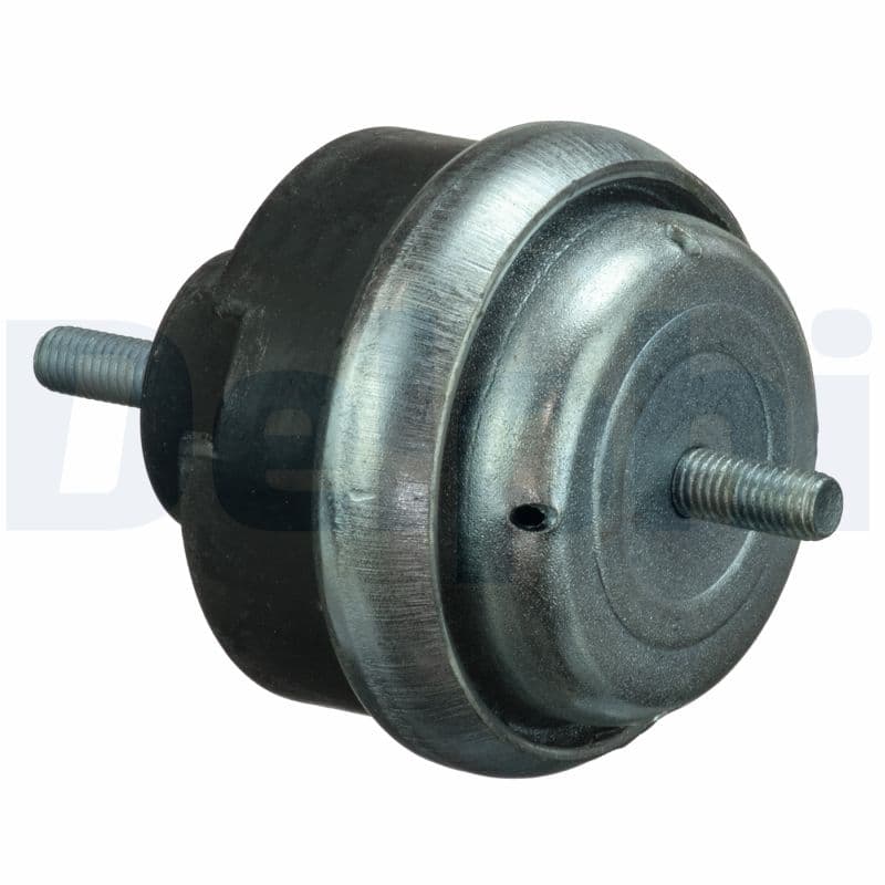 DELPHI TEM066