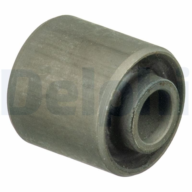 DELPHI TEM071