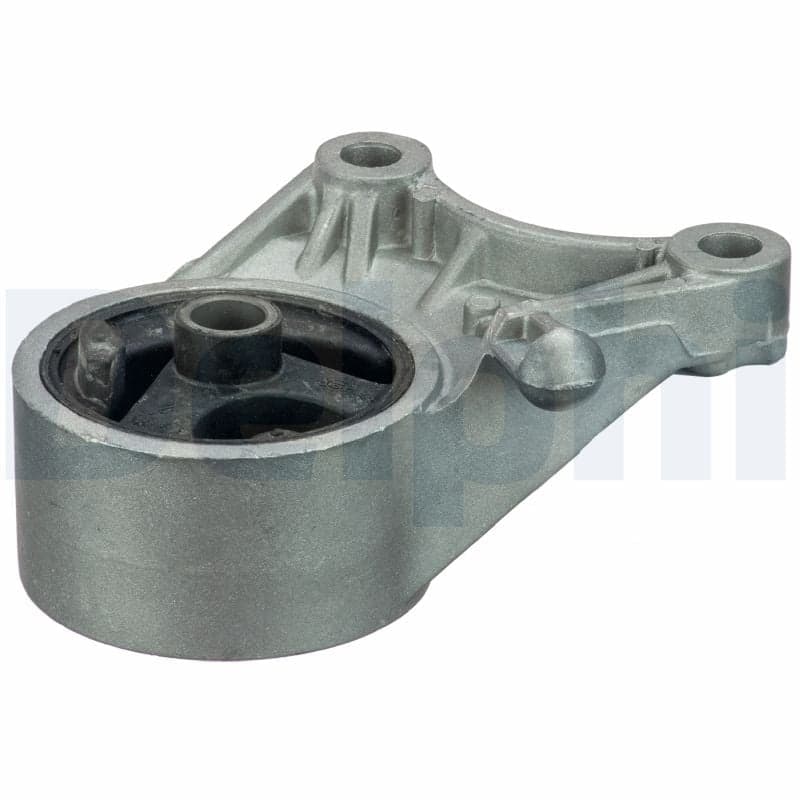 DELPHI TEM092 Variklio pagalvė