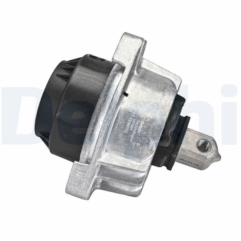 DELPHI TEM255 Variklio pagalvė