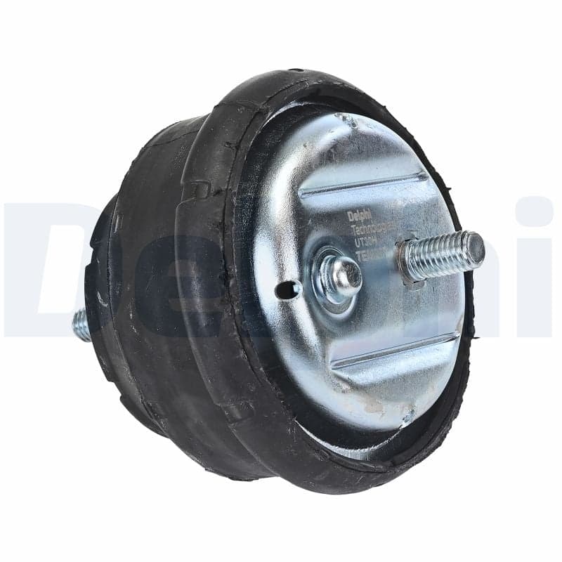 DELPHI TEM257 Variklio pagalvė
