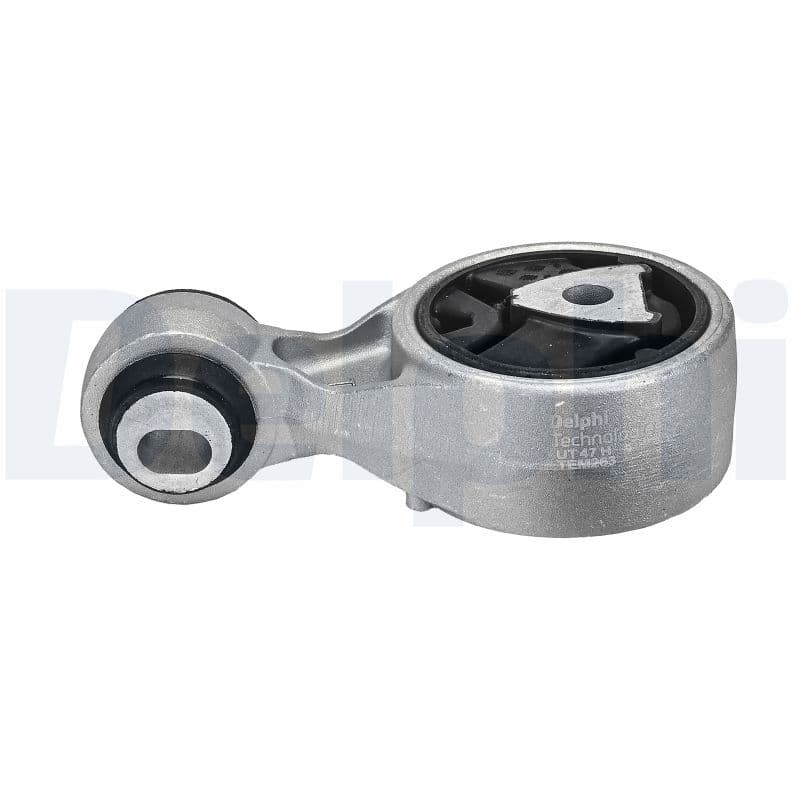 DELPHI TEM263 Variklio pagalvė