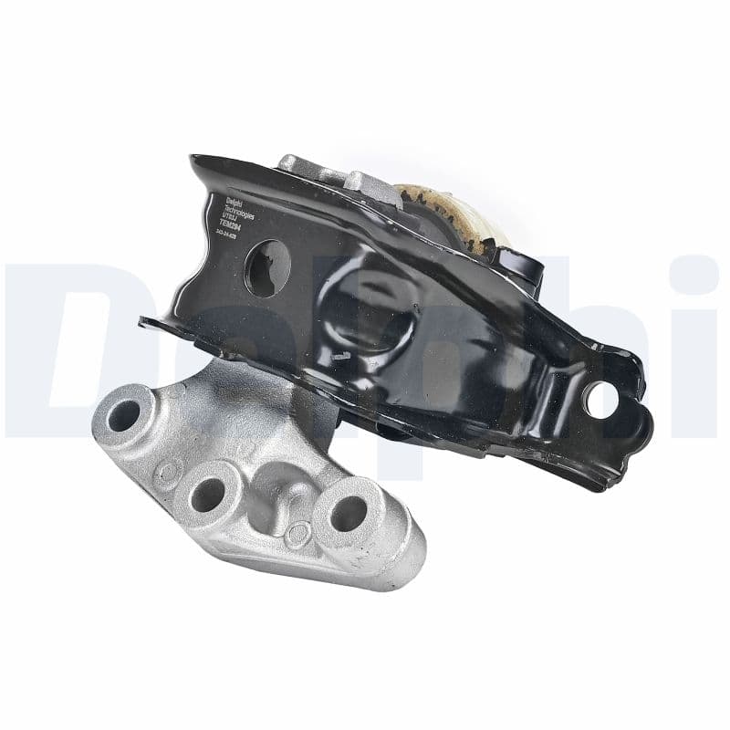 DELPHI TEM294 Variklio pagalvė