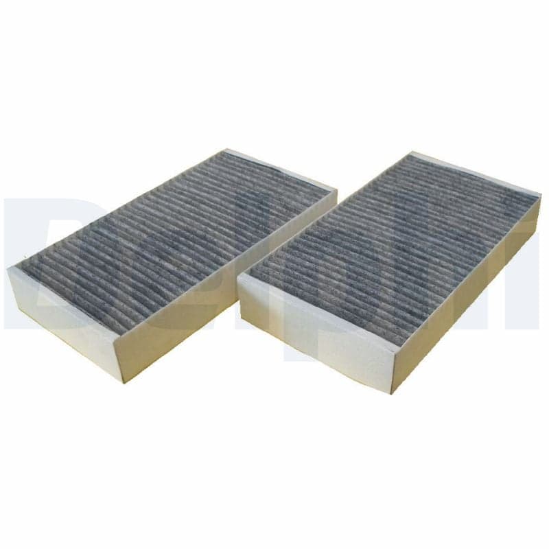 DELPHI TSP0325199C Salono filtras