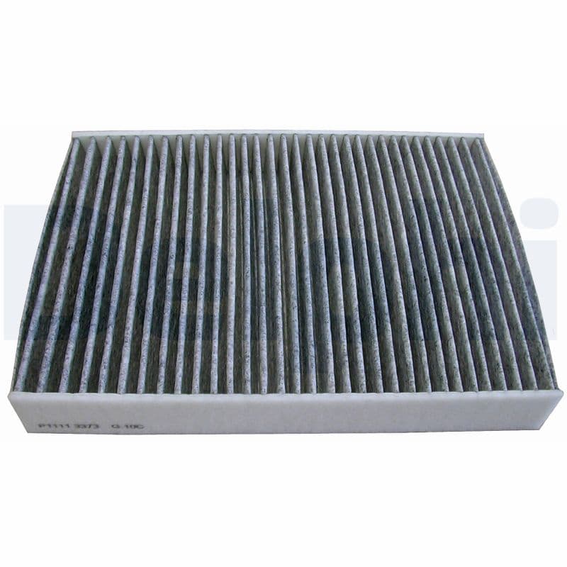 Salono filtras — DELPHI TSP0325331C