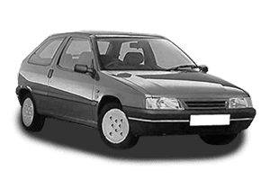 Citroën ZX N2
