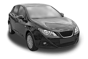 SEAT IBIZA IV Hatchback Van 6J1